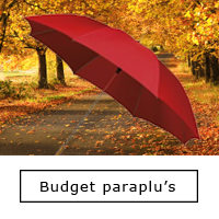 bedrukte-paraplu-budget